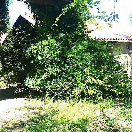Quinta De Abol De Baixo Hotel Entre-os-Rios Eksteriør billede