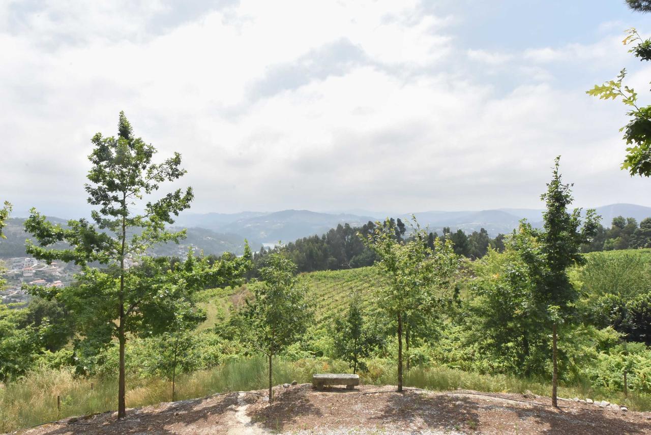 Quinta De Abol De Baixo Hotel Entre-os-Rios Eksteriør billede